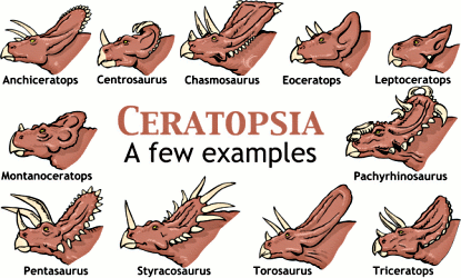 Ceratopsia illustration