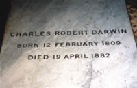 Darwin's grave