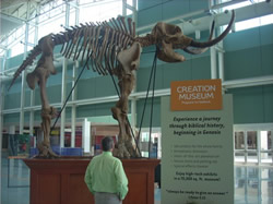 A 12-foot mastodon skeleton