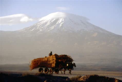 Mount Ararat from the south