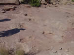 Sauropod tracks