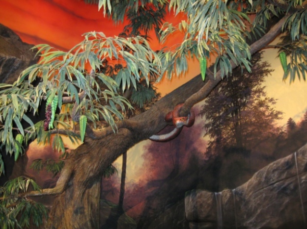 Serpent, as depicted at the Creation Museum